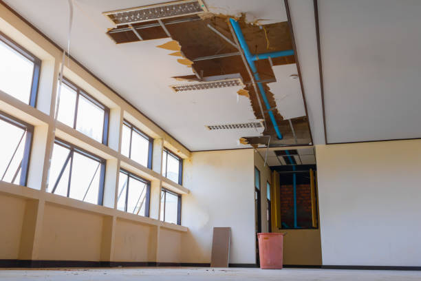 Best Sewage cleanup and water damage restoration  in Hamburg, PA