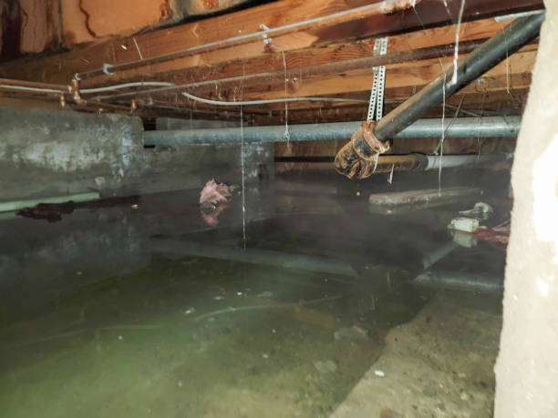 Best Emergency water damage restoration  in Hamburg, PA