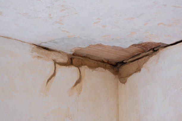 Best Water damage restoration near me  in Hamburg, PA