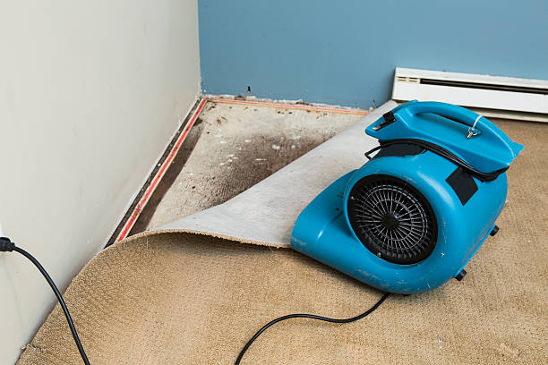Best Commercial water damage restoration  in Hamburg, PA